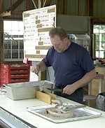 Preparing Sausages